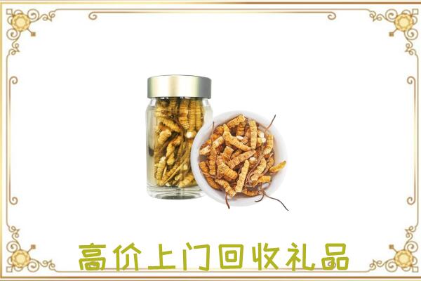 蚌埠周边回收虫草